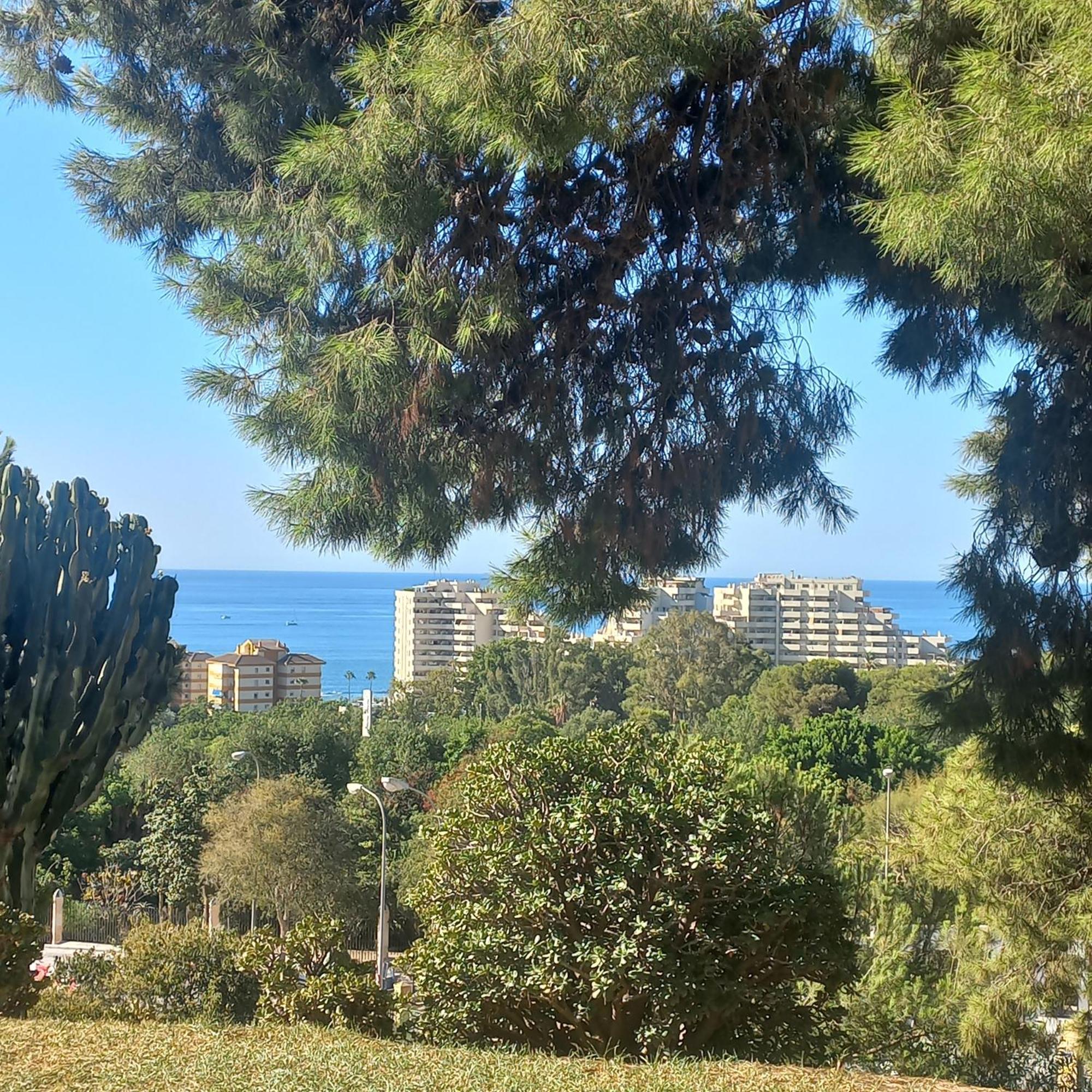 דירות בנאלמדנה Agata Azul מראה חיצוני תמונה